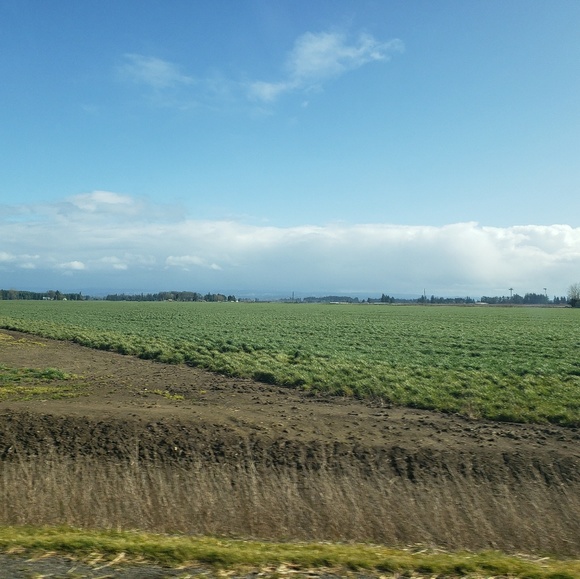 Meet your Posher, Hanns - Picture 1 of 1